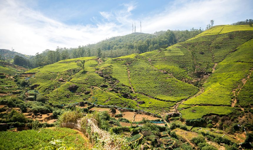 Nuwara Eliya; A Highland Haven in Sri Lanka